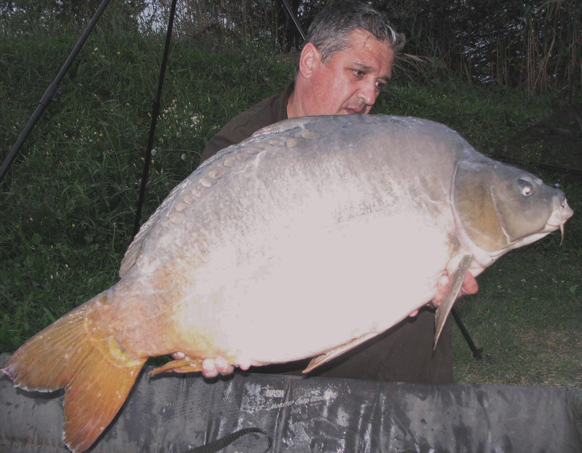 Balkan lake 19 - 26 septembrie 2015 - 23,2 kg